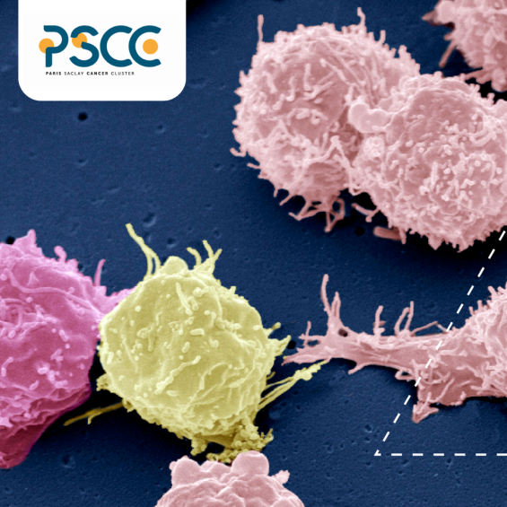 Paris-Saclay Cancer Cluster et l’Institut Polytechnique de Paris : l’innovation en ordre de bataille contre le cancer